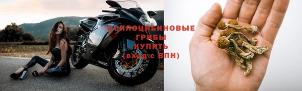 скорость Приозерск