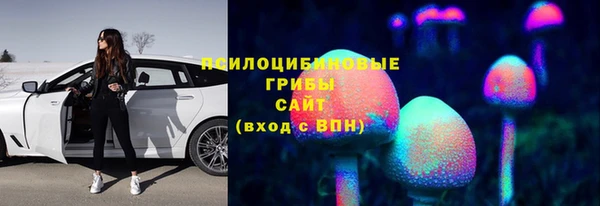 ешки Пушкино
