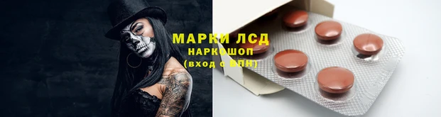 гидра Рославль