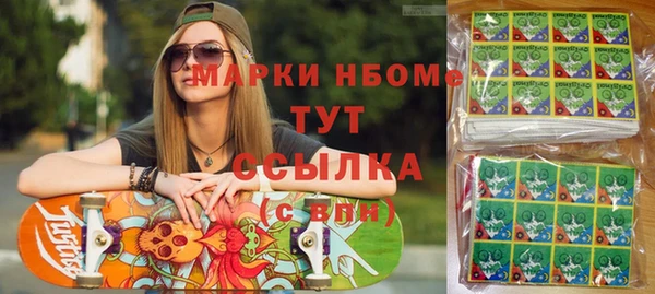 индика Яранск